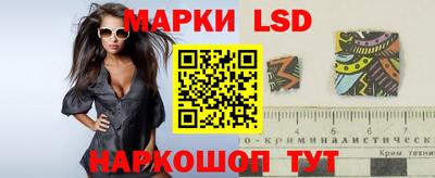 прущие грибы Сланцы