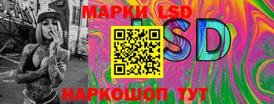 прущие грибы Сланцы