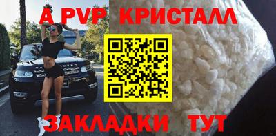 прущие грибы Сланцы