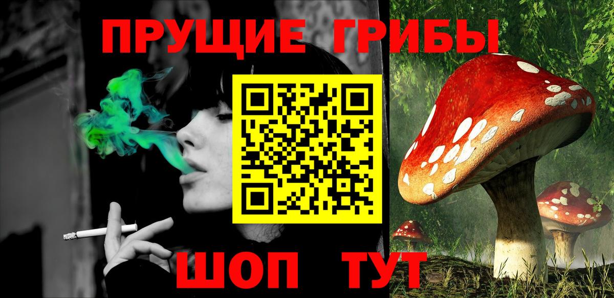 Ногинск  Галлюциногенные грибы Psilocybe  хочу   Вход с VPN 
