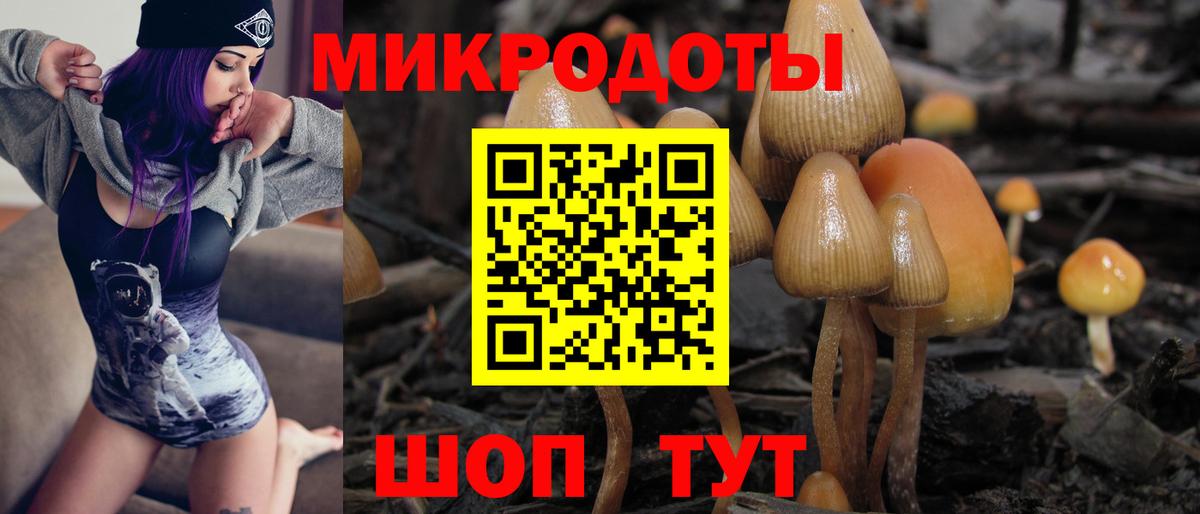 NBOMe Ногинск